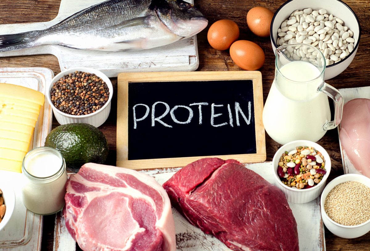 نصائح لخسارة الوزن، البروتين